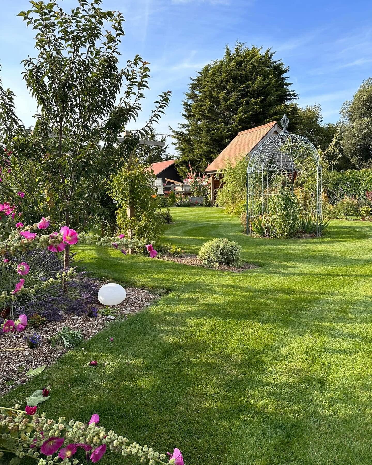 Cutting Edge Lawn Sudbury 5 years lawn care results