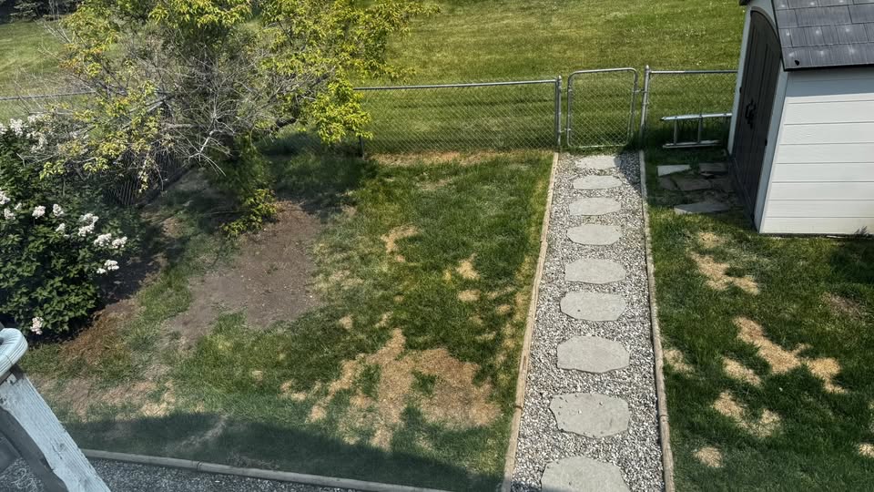 Damaged bare lawn corner at fence line on a Sudbury Ontario dog owner residential property