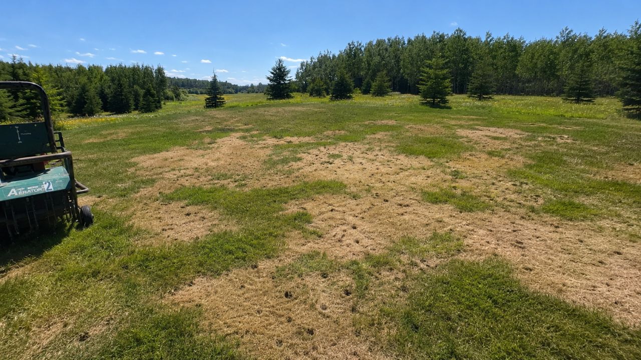 Dead lawn Greater Sudbury Ontario compacted soil hidden problem underneath