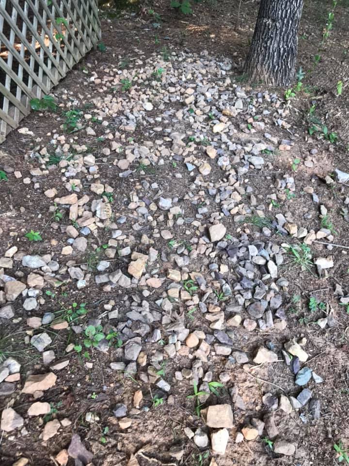 Decorative river rock bed after three Sudbury winters showing settling and debris