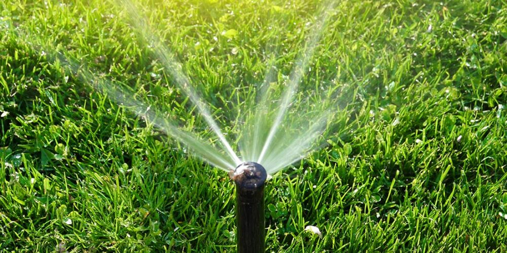 Deep cycle and soak watering on Sudbury clay lawn before summer heatwave