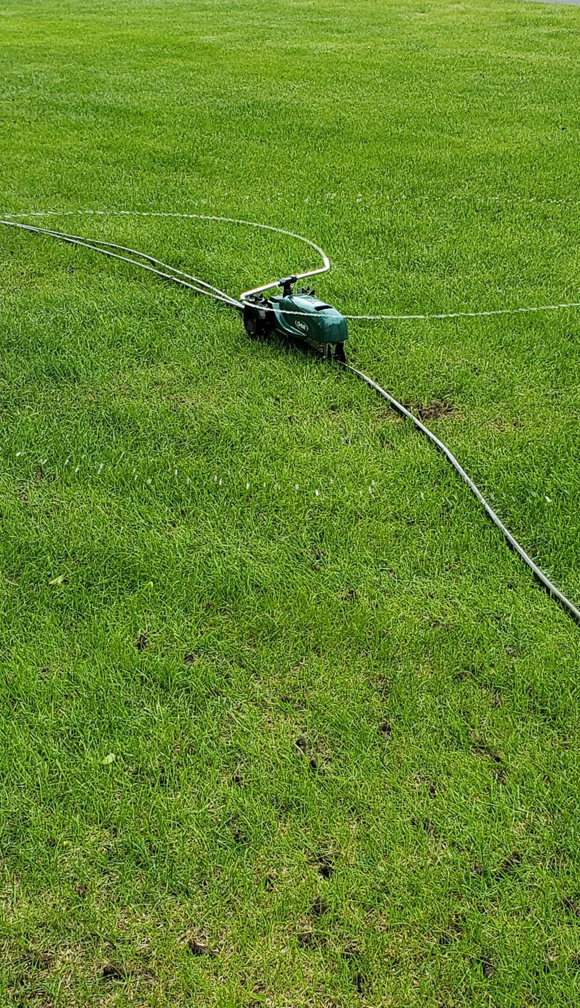 Deep infrequent watering residential lawn Greater Sudbury Ontario correct technique
