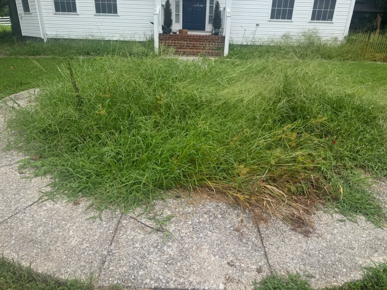 Early lawn care work being done incorrectly on Sudbury property 2020