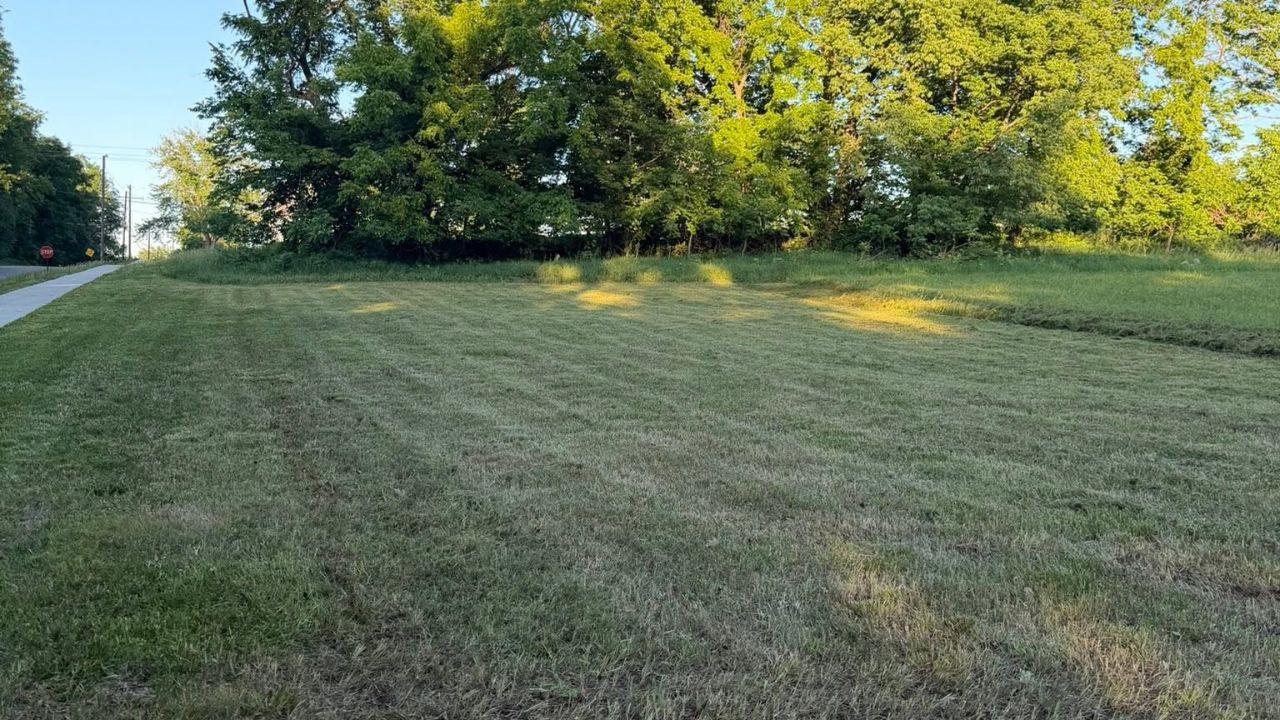 Early signs of lawn stress visible on Sudbury residential property in July