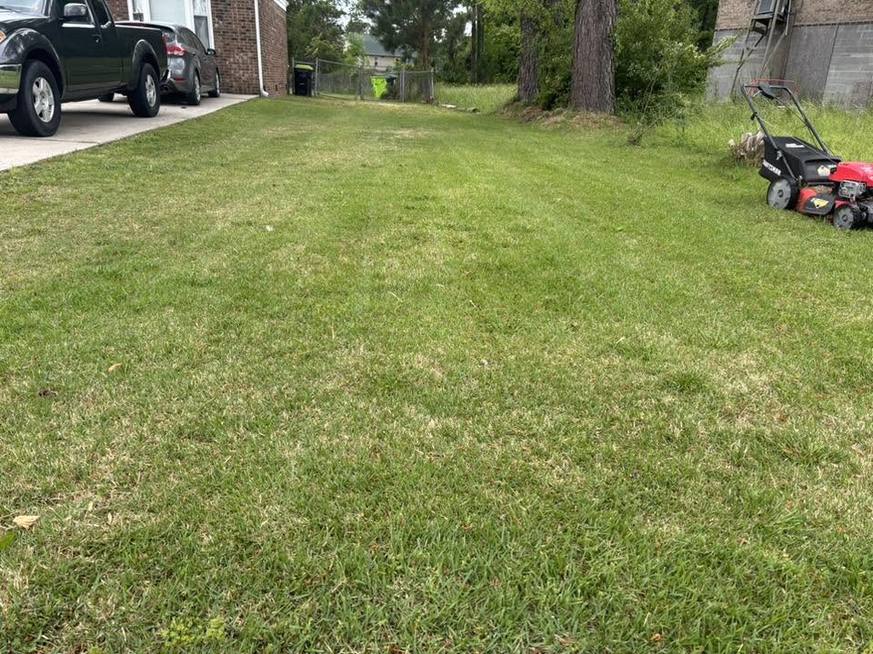 Final lawn check watering backyard Greater Sudbury Ontario Canada Day ready
