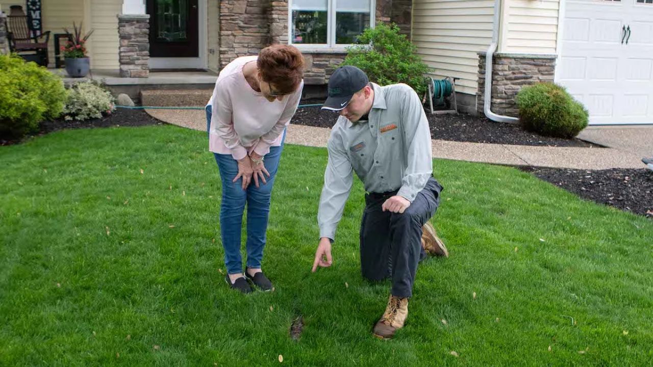 First-time homebuyer inspecting yard and lawn condition in Greater Sudbury Ontario