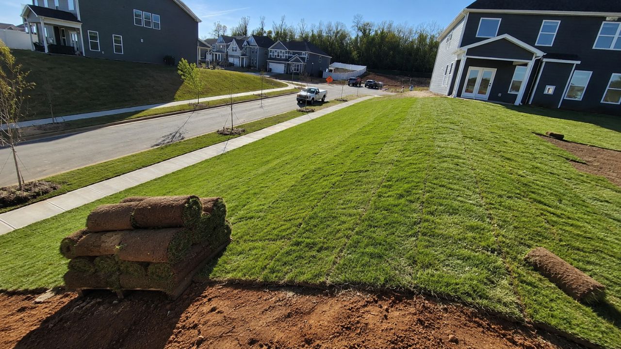 Fresh cut sod rolls ready for delivery and installation in Greater Sudbury Ontario