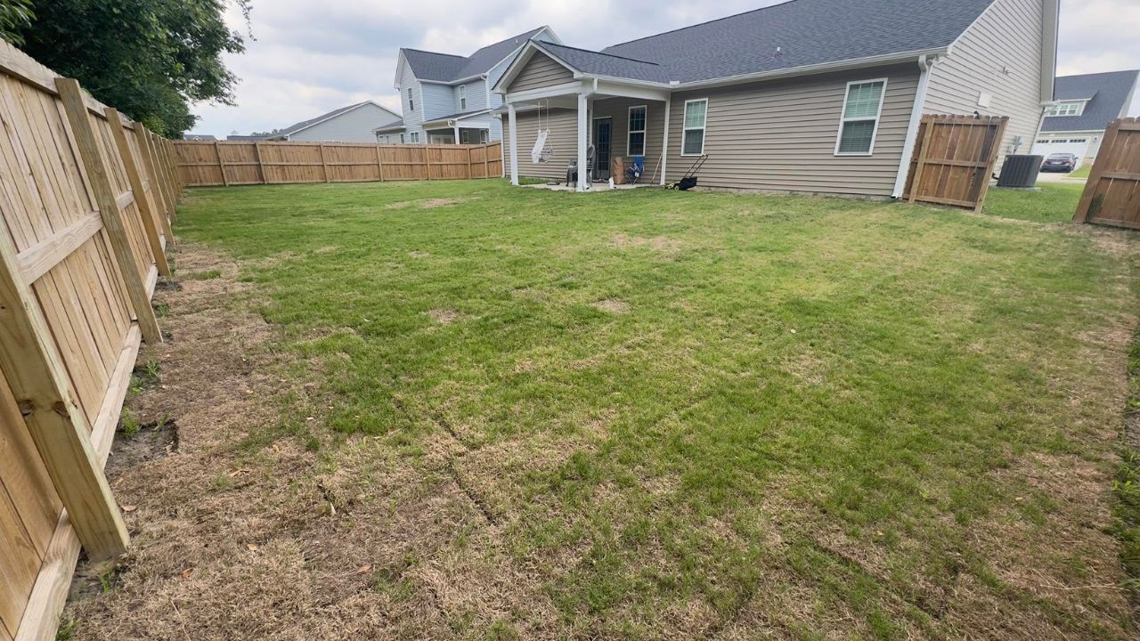 Fresh sod laid on Sudbury residential property drying out at edges