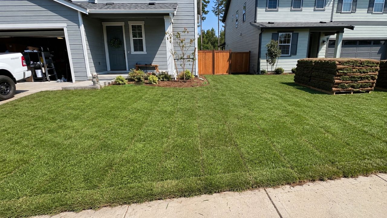 Fresh sod rolls at Valley Nursery Sod farm near Chelmsford Sudbury Ontario ready for delivery