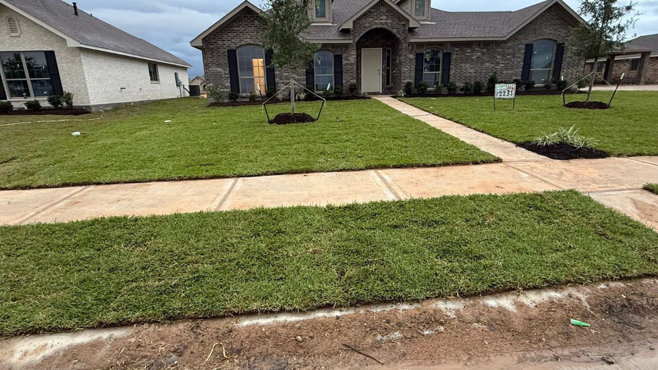 Freshly installed sod exposed to summer sun on a Sudbury Ontario property