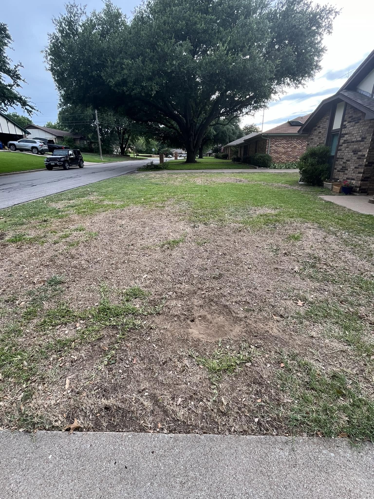 Frustrated homeowner past bad experience lawn care Sudbury Ontario history