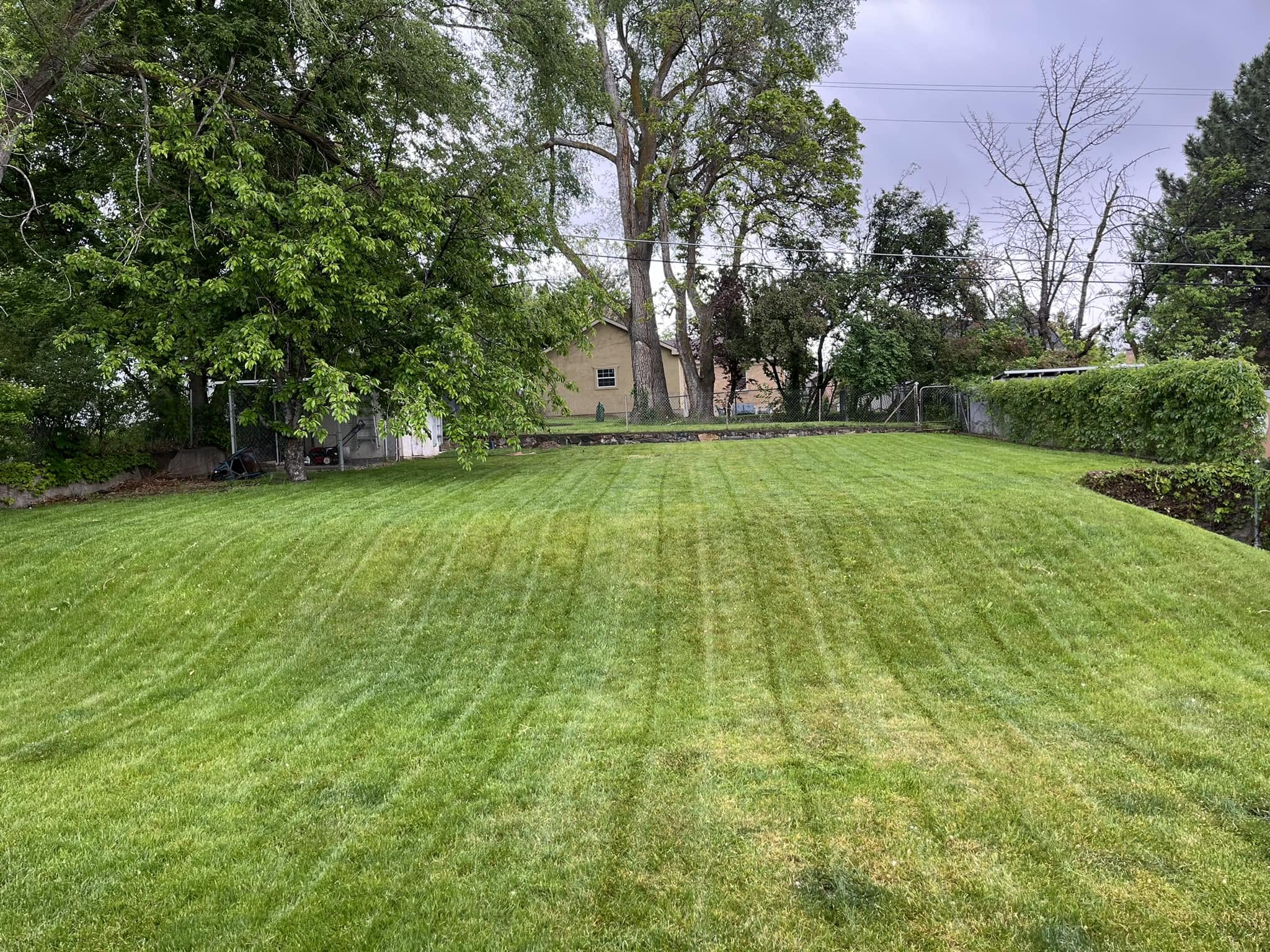 Fully repaired and established lawn at a Sudbury Ontario residential property after professional accountability