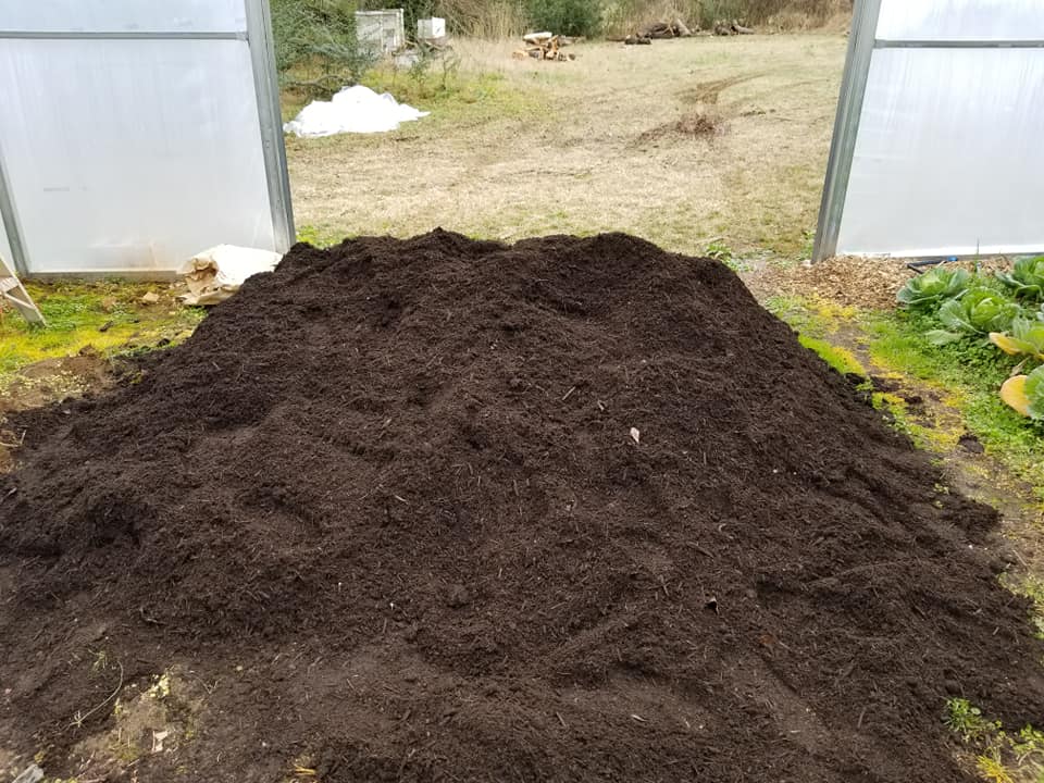 Garson Sudbury lawn with thin topsoil over clay struggling to establish
