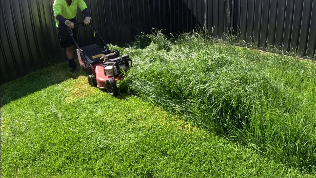 Gas mower cutting tall grass on large Sudbury property