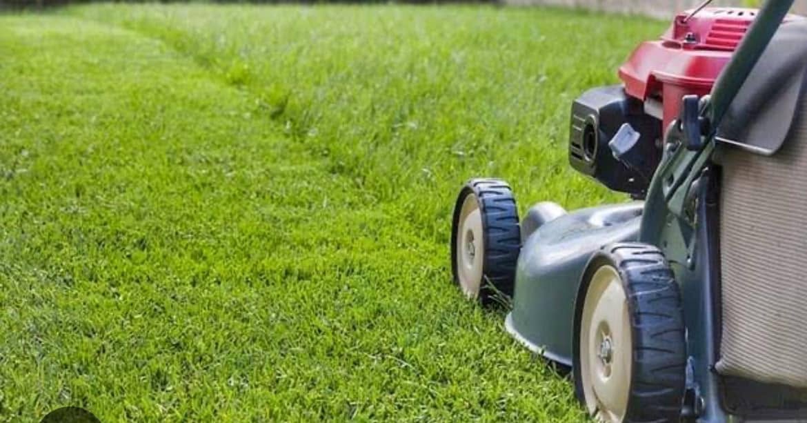 Google Maps showing local lawn mowing company results near Sudbury Ontario