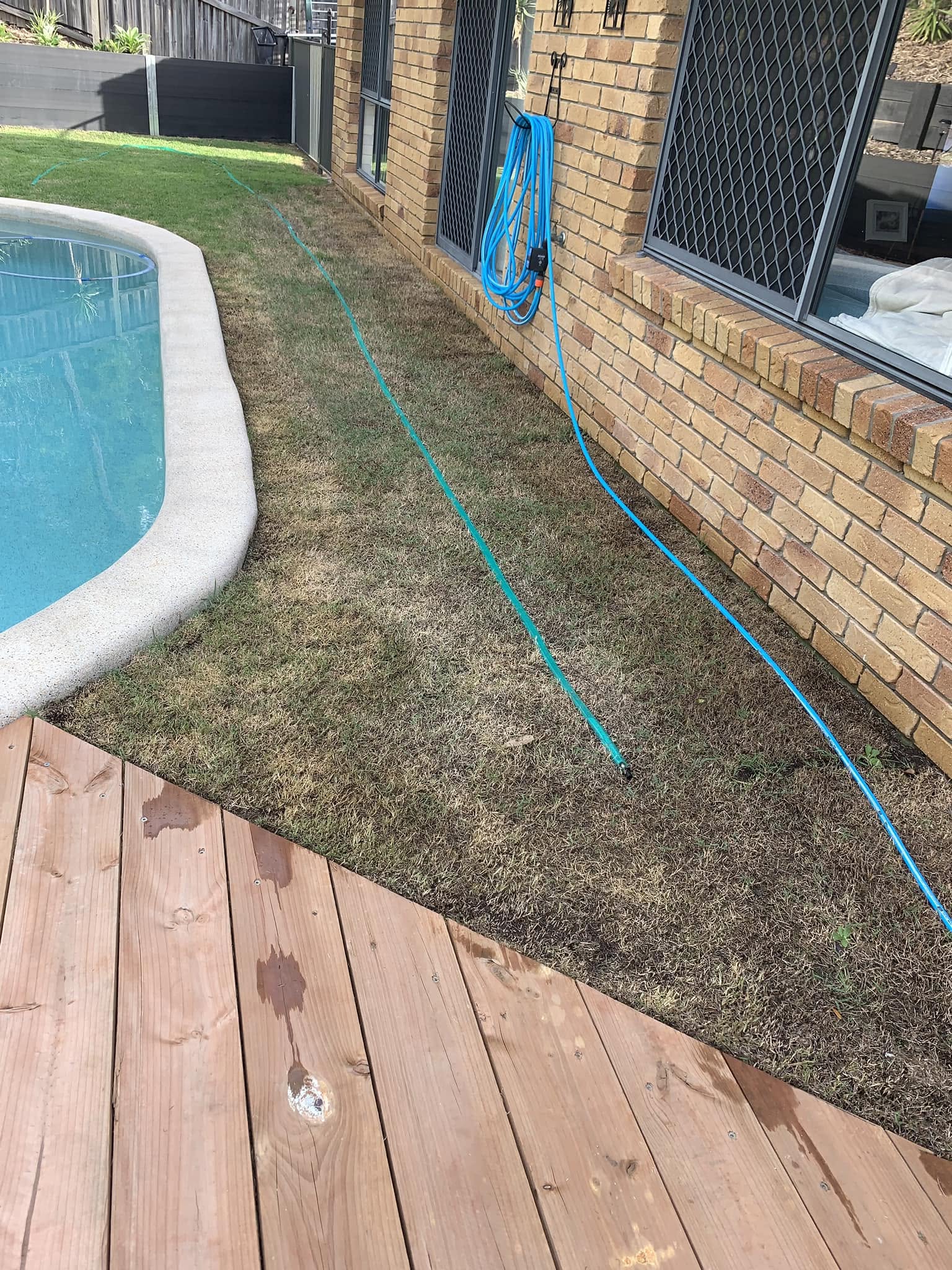 Grass near pool area showing chemical exposure smell and discolouration Sudbury