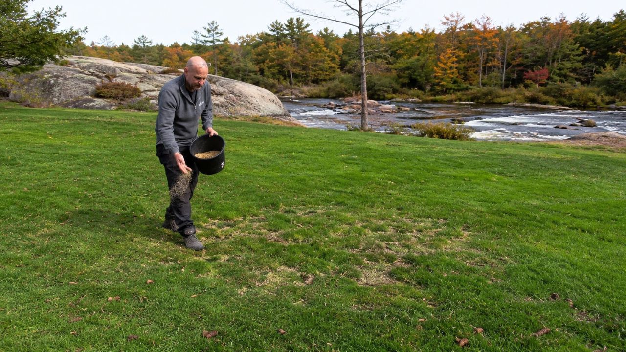 Grass seed selection for Greater Sudbury Ontario climate — Cutting Edge Lawn and Landscaping Garson