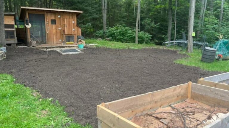 The Hanmer Homeowner Who Proved Me Wrong About His Lawn — Here’s What Happened
