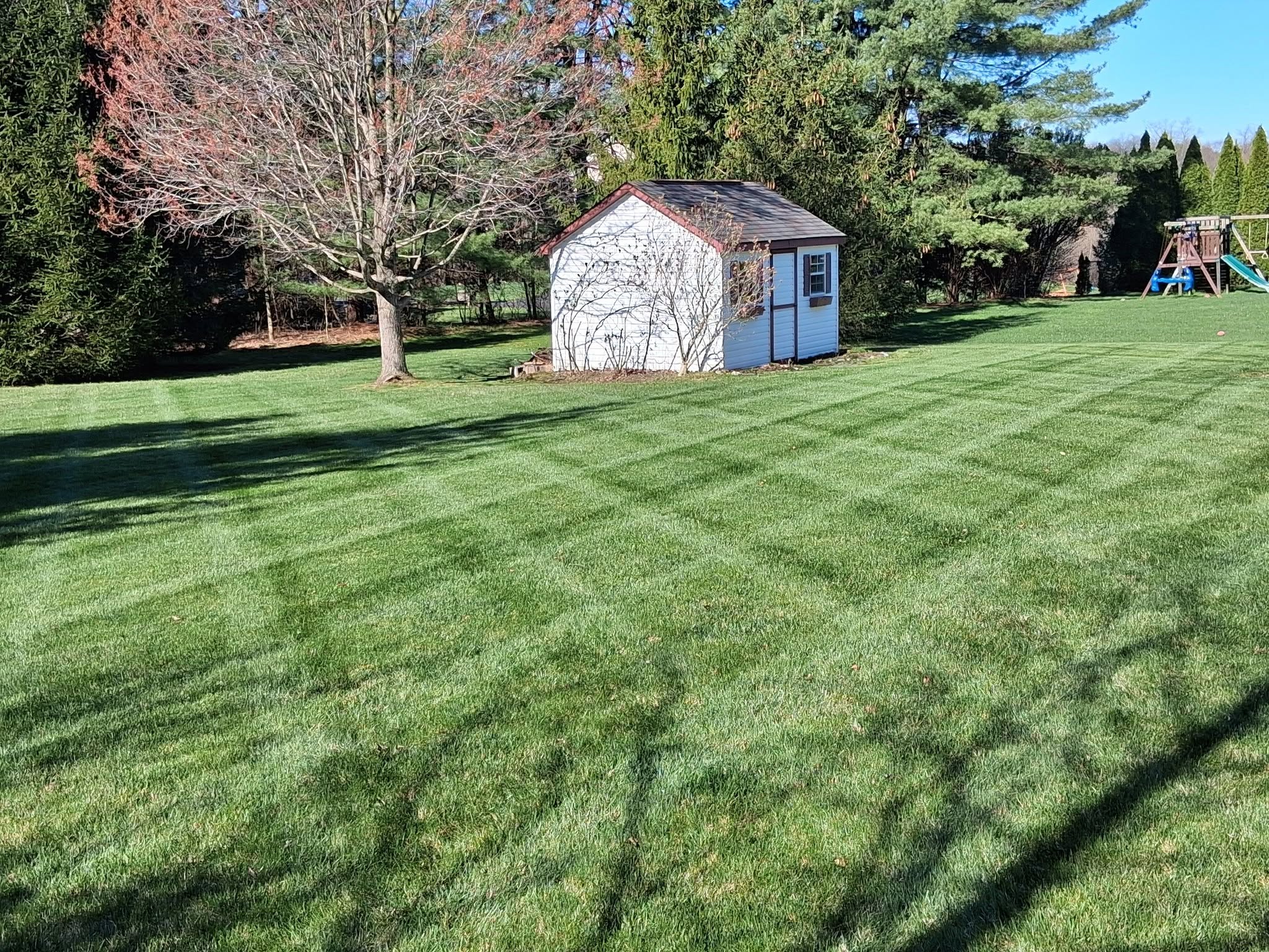 Healthy dense lawn in Sudbury Ontario maintained by same owner for 10 consecutive years