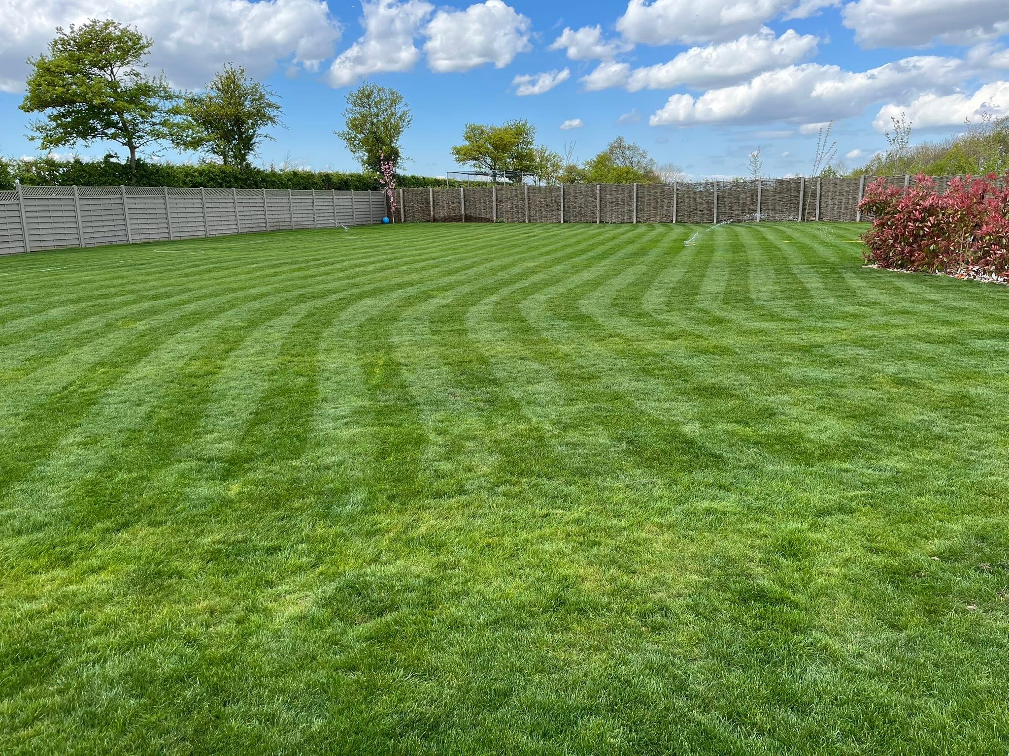 Healthy green Sudbury Ontario lawn in July that was properly prepared in spring