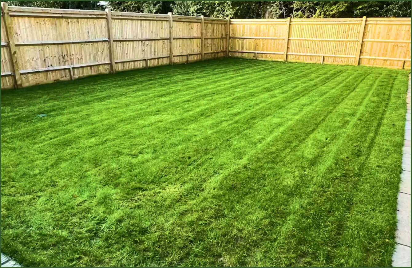 Healthy green lawn in Greater Sudbury Ontario during July heat