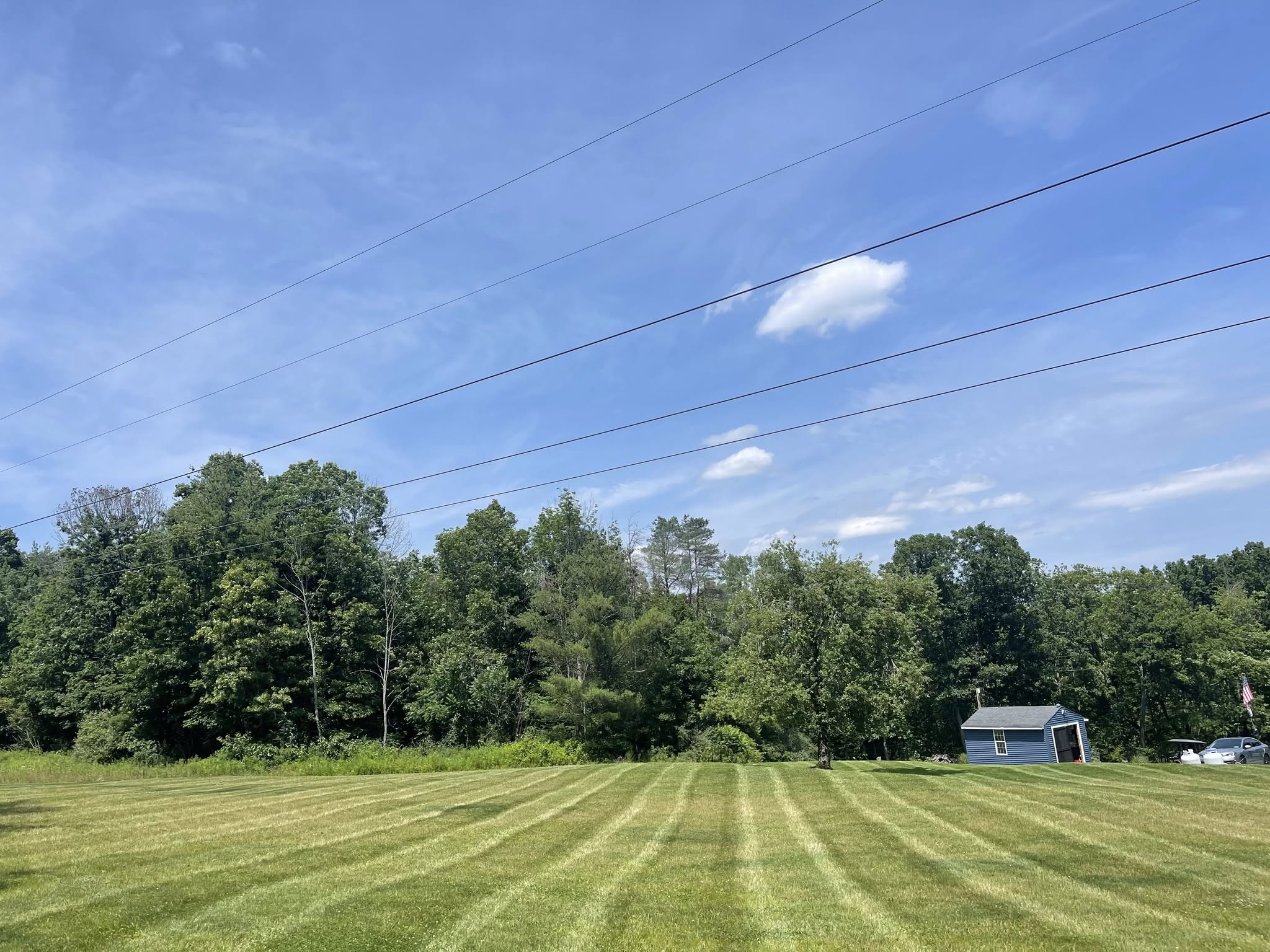 Healthy green lawn surviving summer heat in Greater Sudbury Ontario