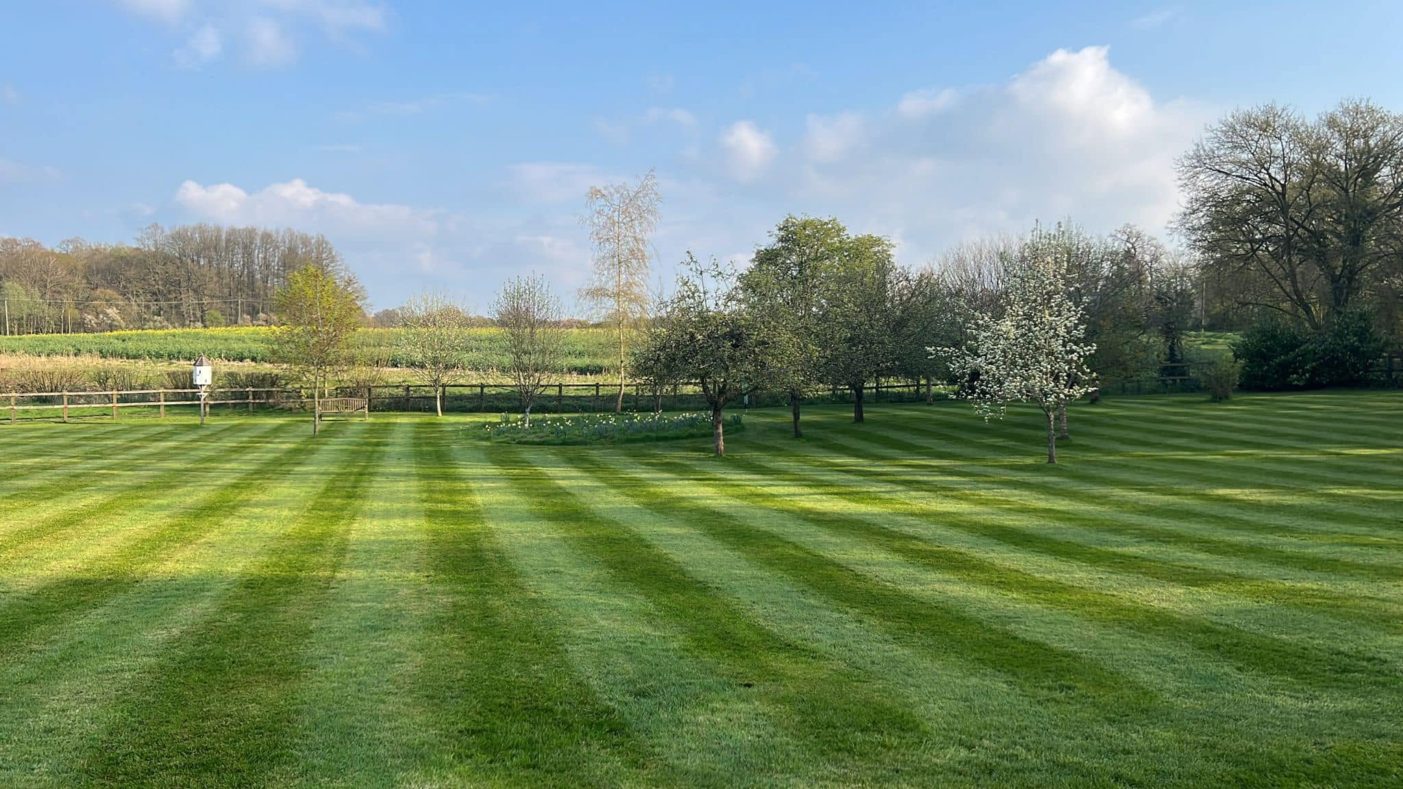 Healthy lawn adapted to Canadian Shield soil in Sudbury Ontario