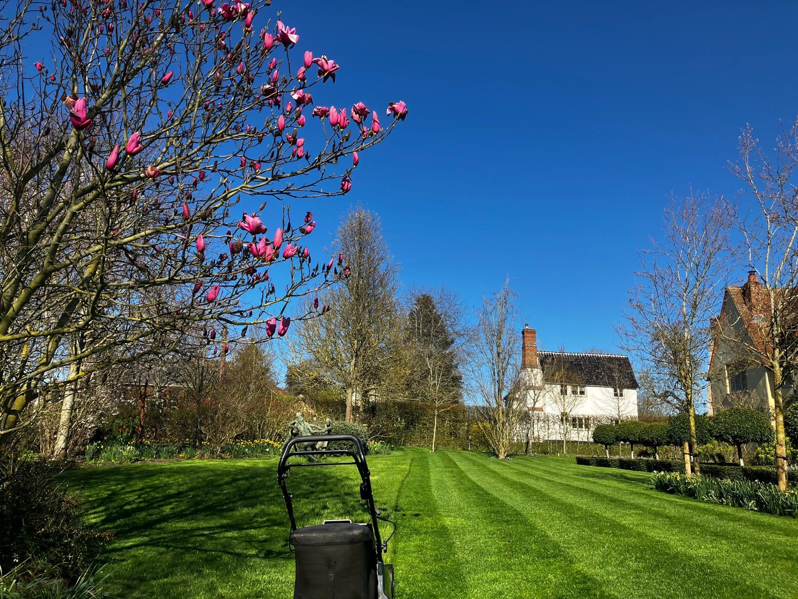 Healthy lawn confirmation call satisfied client Greater Sudbury Ontario