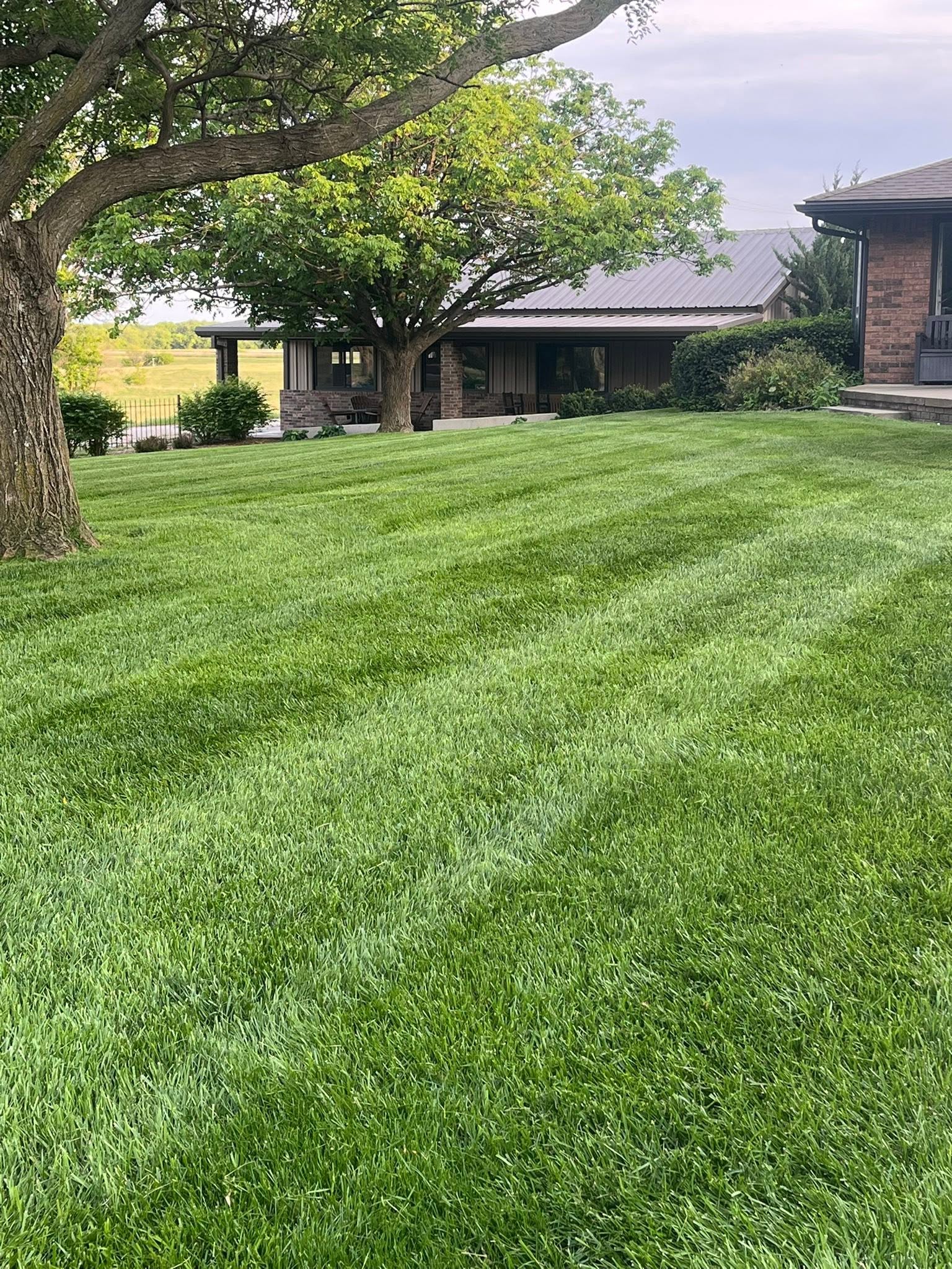 Healthy lawn maintained at proper mowing height in Greater Sudbury Ontario