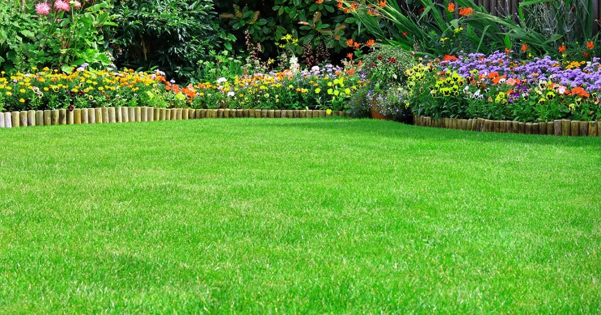 Healthy lawn maintained responsibly near Ramsey Lake Sudbury