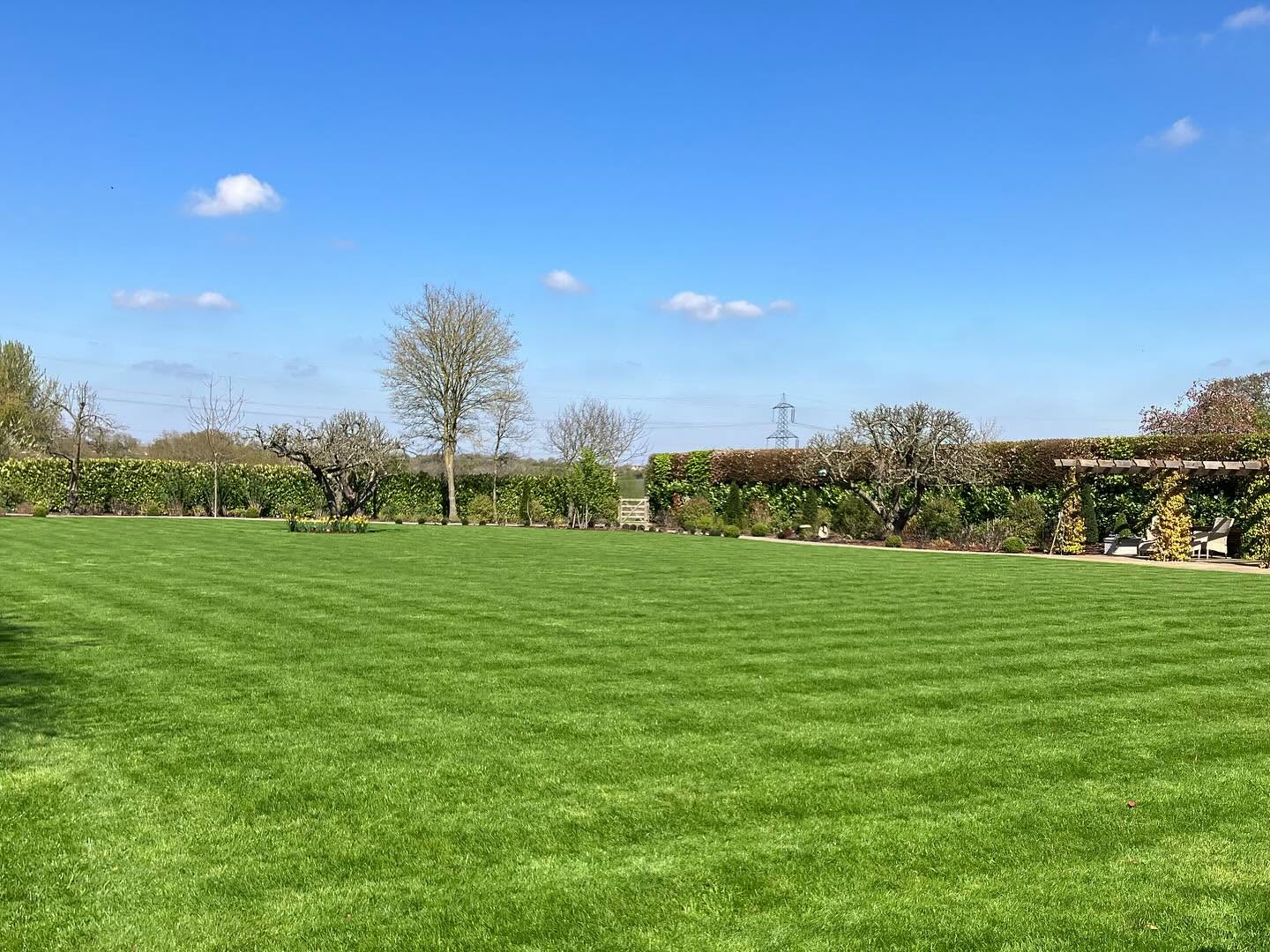 Healthy lawn test result showing proper soil depth in Sudbury