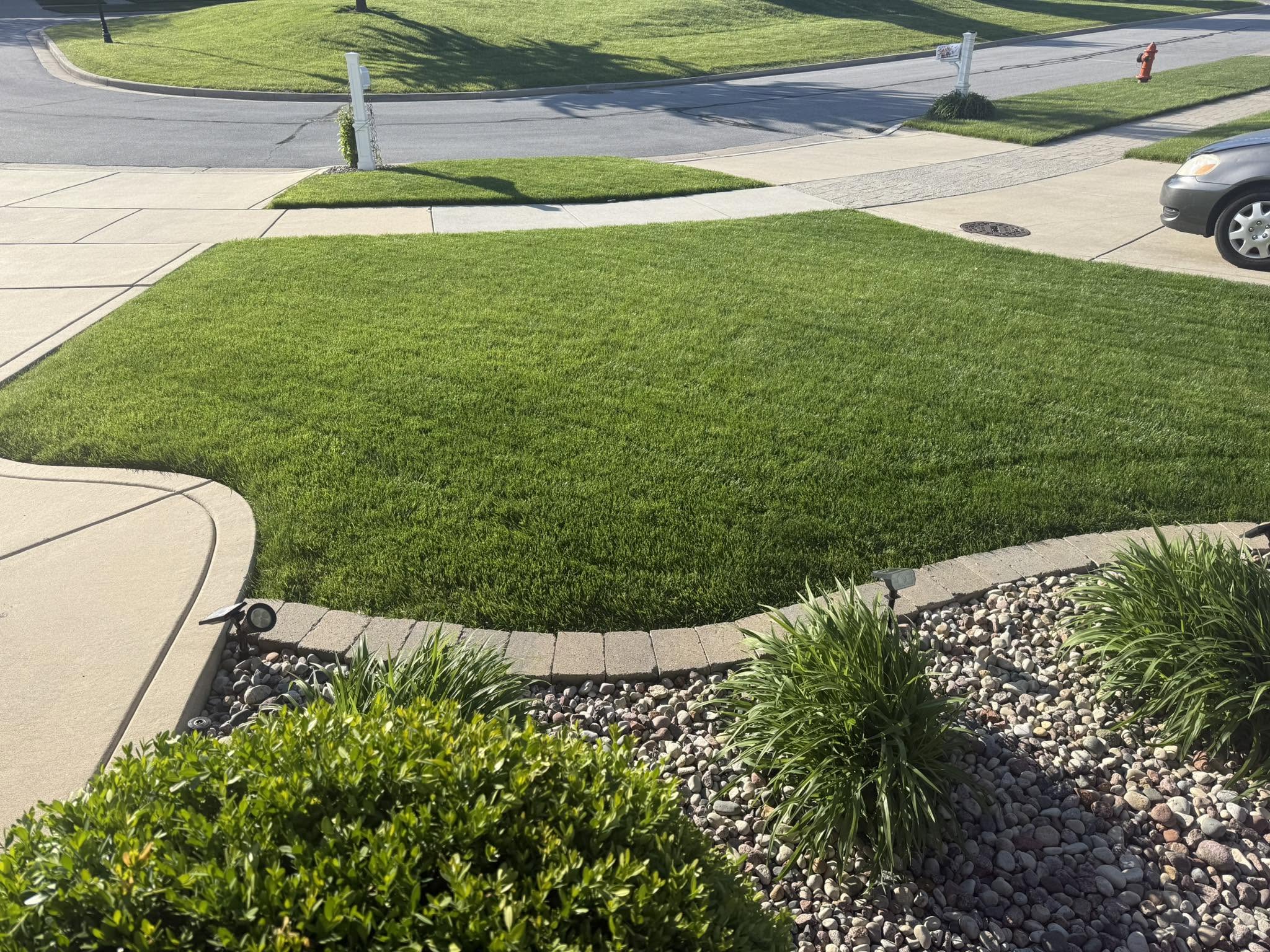 Healthy recovered lawn in Sudbury Ontario after following honest free lawn care advice