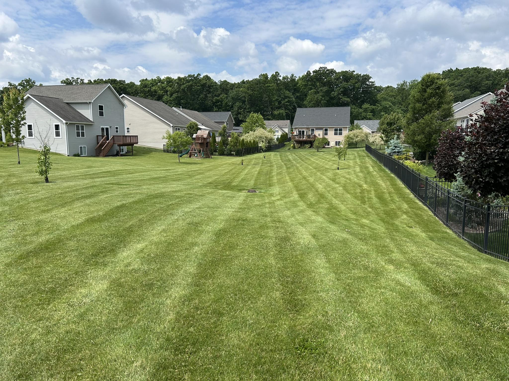 Healthy thick green lawn on a residential property in Greater Sudbury Ontario maintained by Cutting Edge Lawn and Landscaping