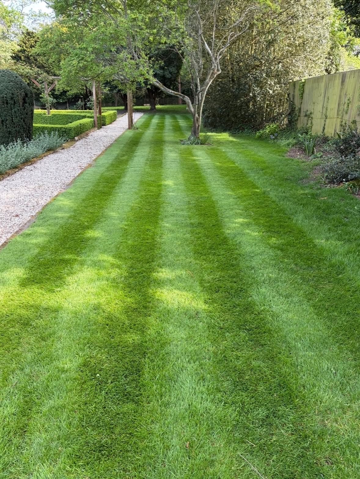 Healthy uniform lawn after properly repaired sod section in Sudbury