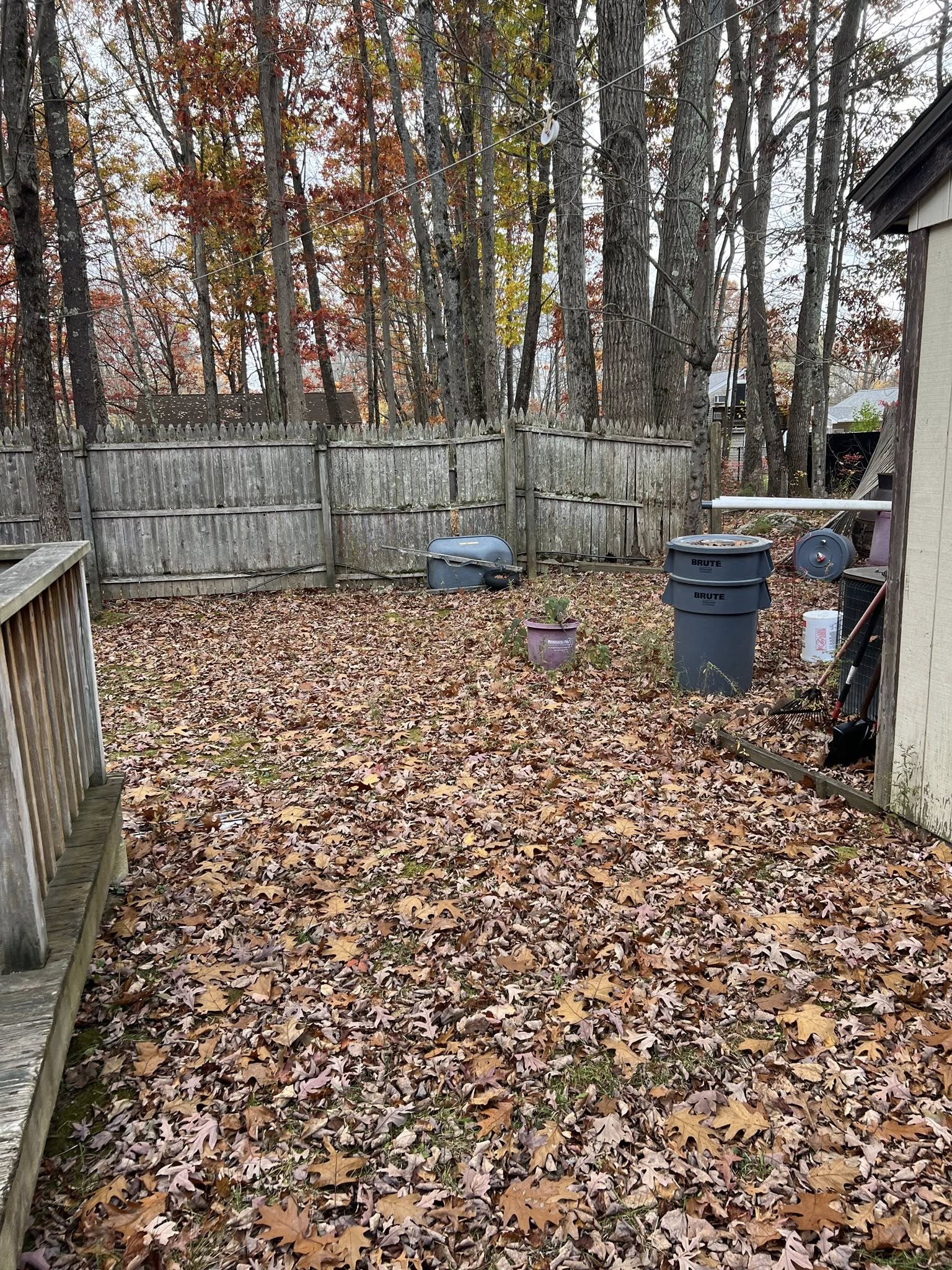 Heavy debris and leaf buildup on a neglected Sudbury property needing spring cleanup