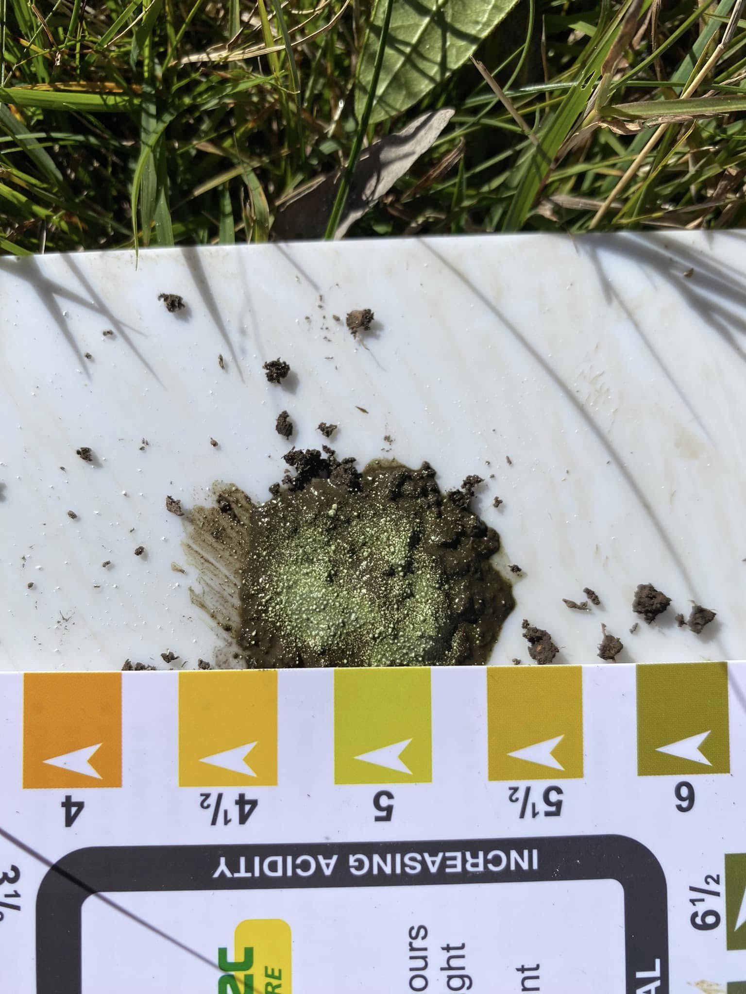 Home soil pH test kit being used on a Sudbury Ontario lawn