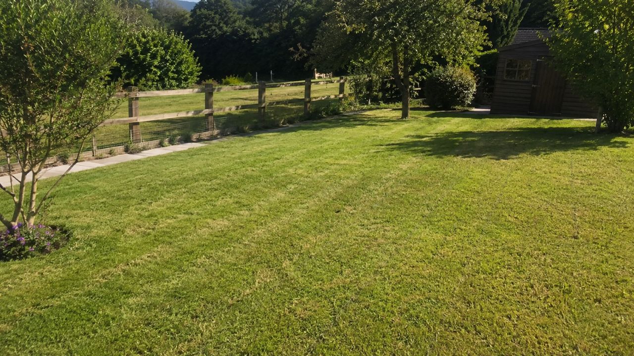 Homeowner deciding between DIY lawn care and hiring a professional in Sudbury Ontario