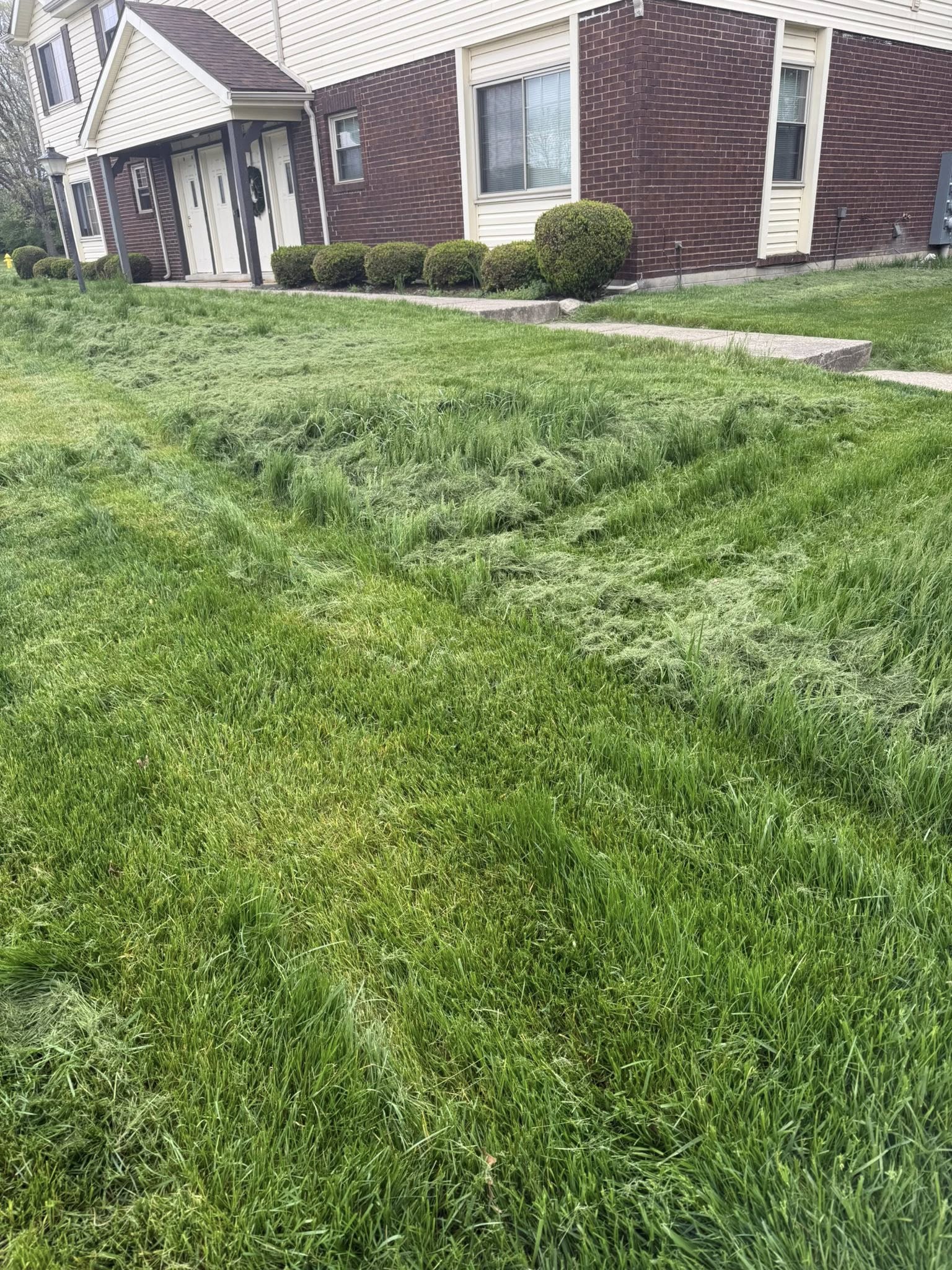Homeowner disappointed lawn comparison expectation Sudbury Ontario social media