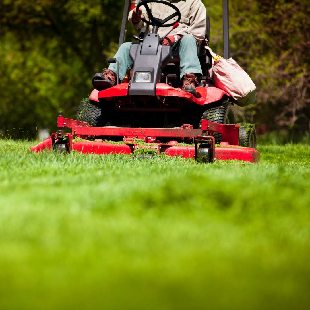 Homeowner doing DIY lawn care Sudbury Ontario basic mowing watering cleanup