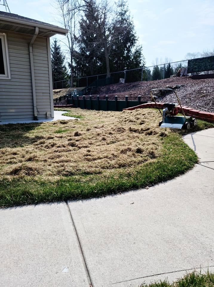 Homeowner learning to assess lawn condition on Sudbury Ontario property