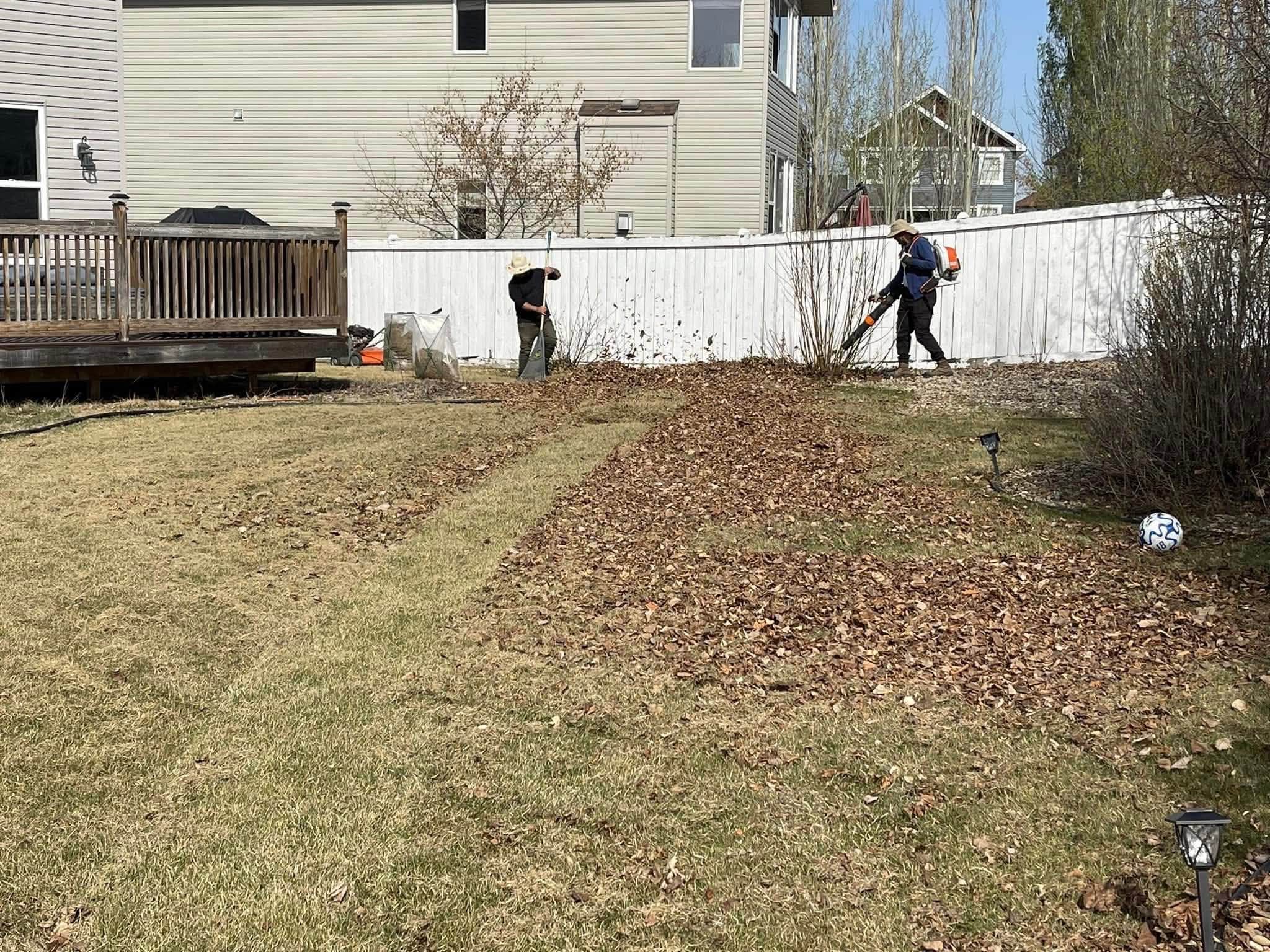 Homeowner researching lawn mowing services on phone before calling in Sudbury Ontario