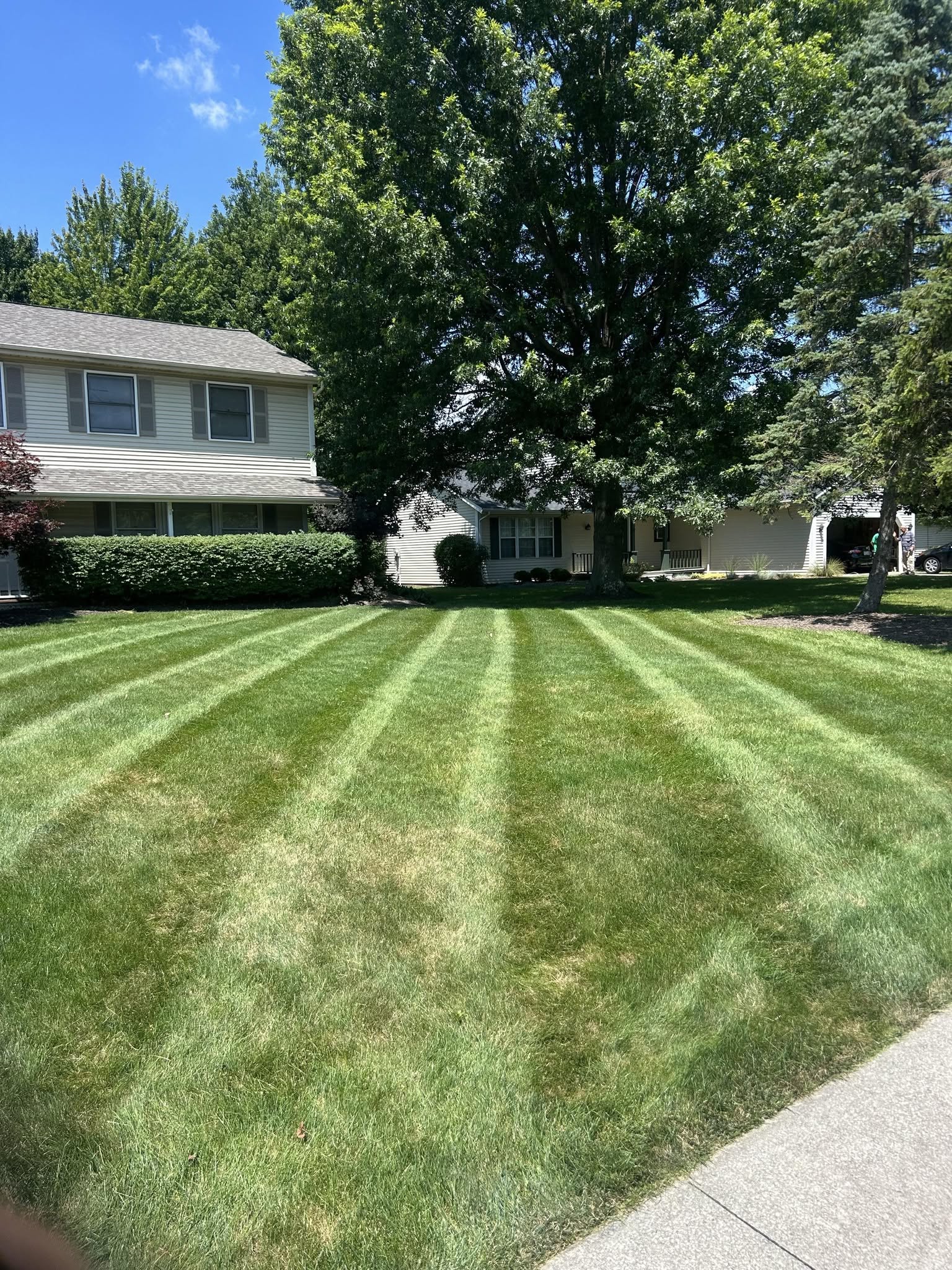 Homeowner waiting outside early morning lawn restoration Sudbury Ontario