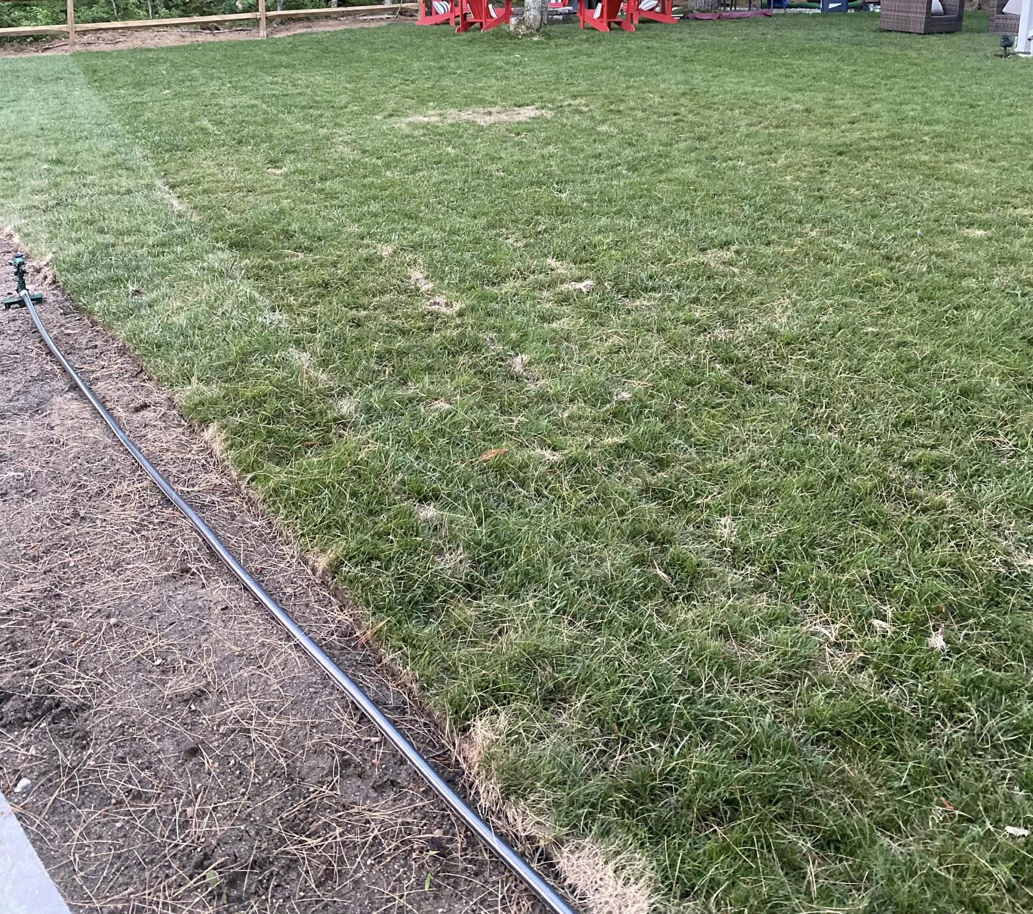 Homeowner watering freshly installed sod on Sudbury residential lawn