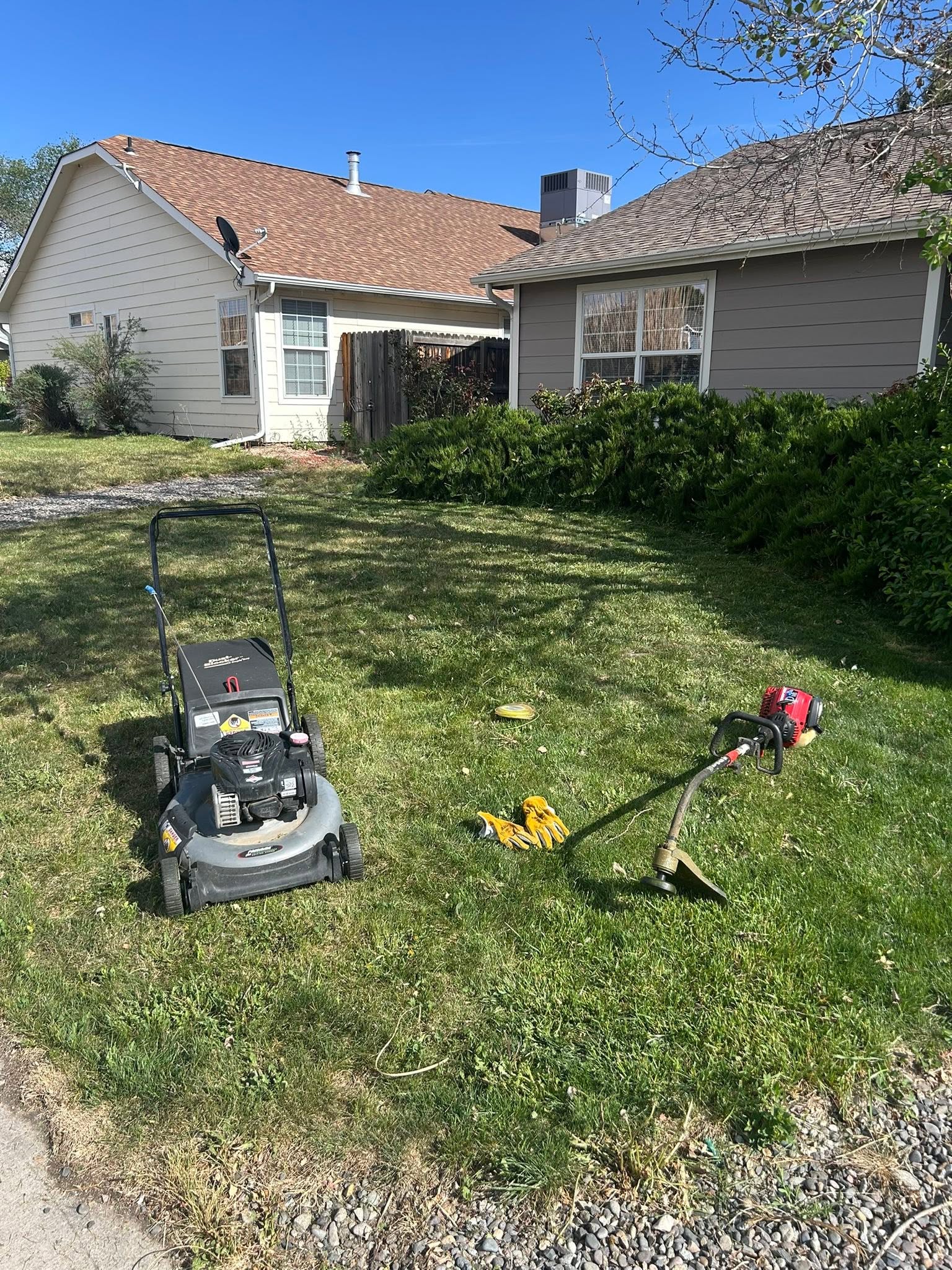 Homeowner working on backyard lawn restoration Hanmer Sudbury Ontario effort