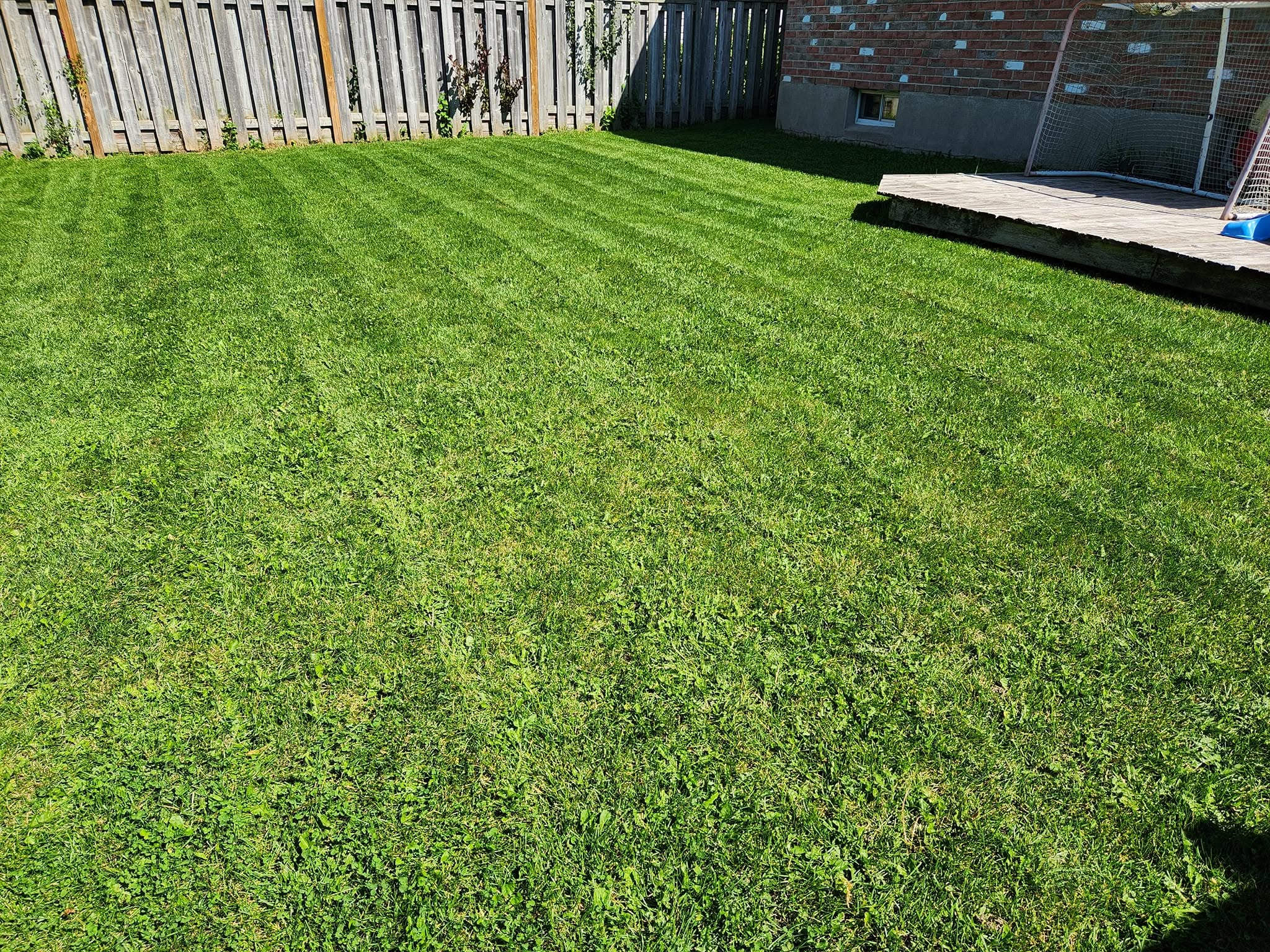 Honest lawn care assessment conversation between Ryan Lingenfelter and Sudbury Ontario homeowner