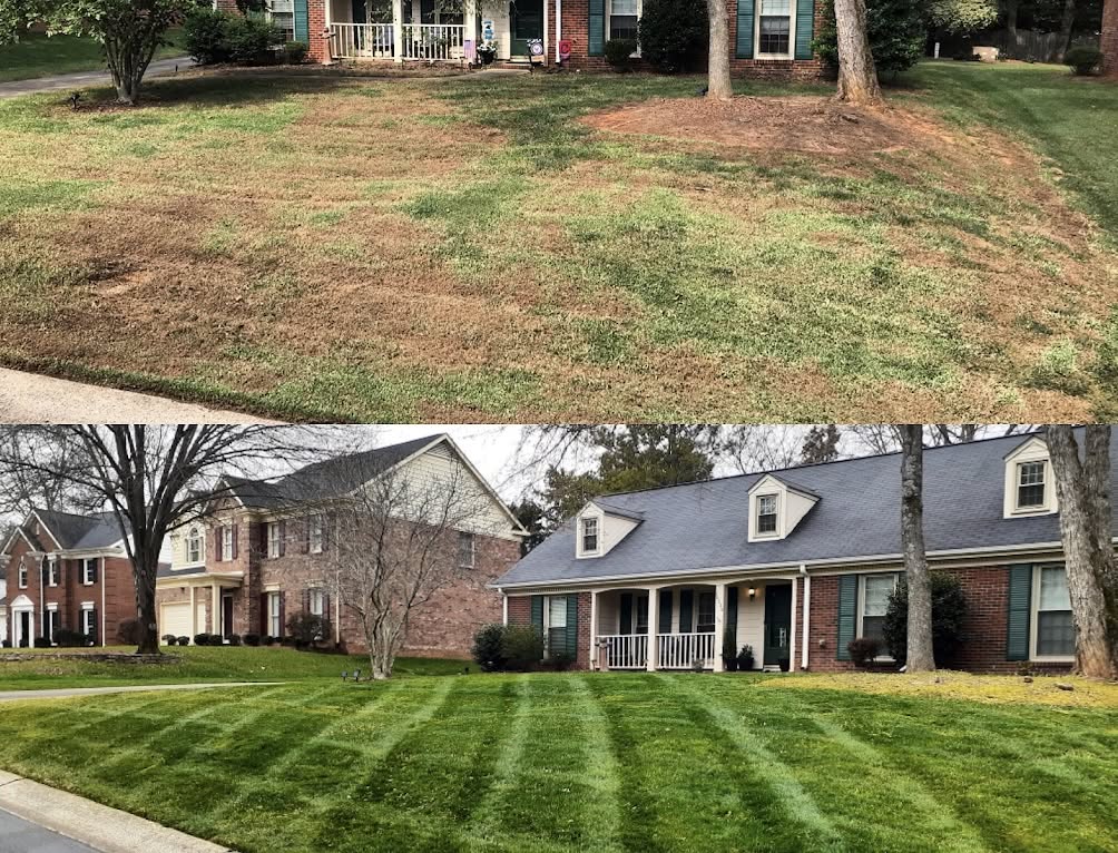 Improved lawn coverage measurement Greater Sudbury Ontario before after comparison