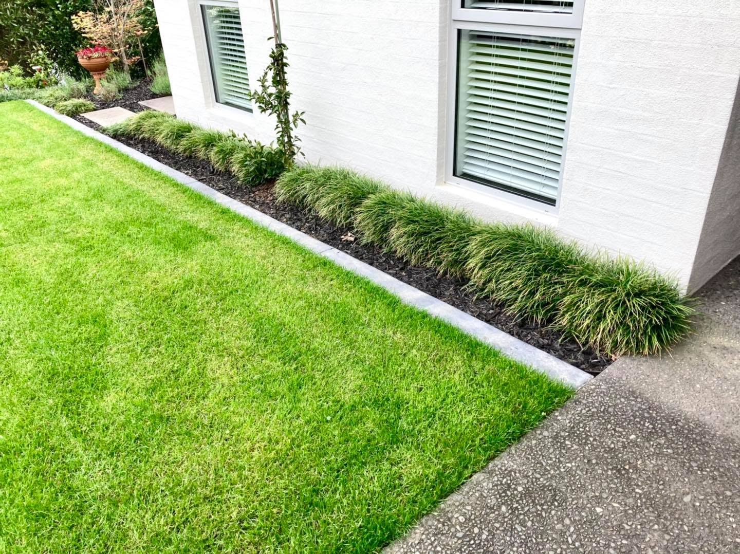 Improved lawn result after customized treatment Greater Sudbury Ontario outcome