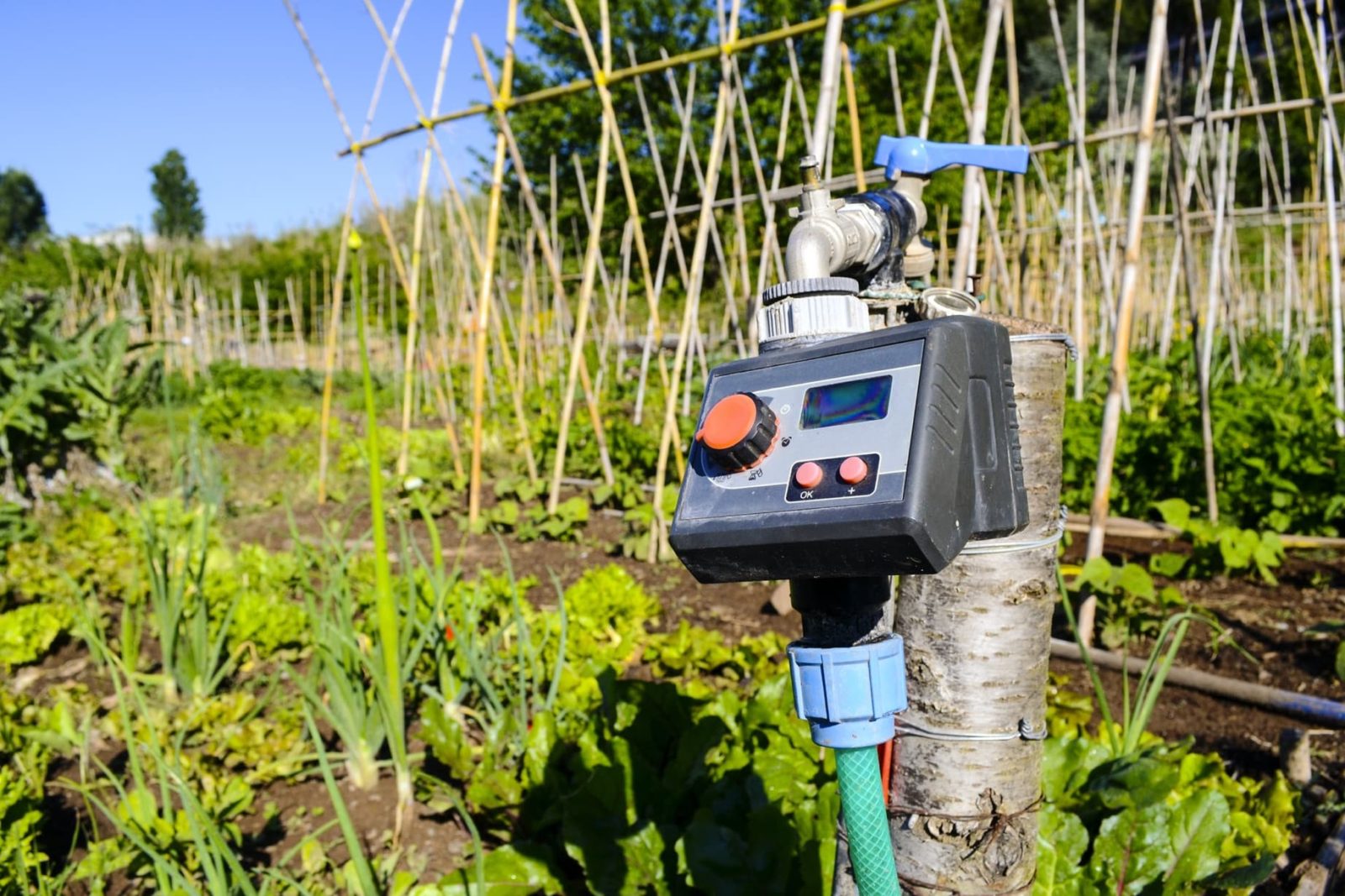 Irrigation controller timer showing single setting on Sudbury lawn system