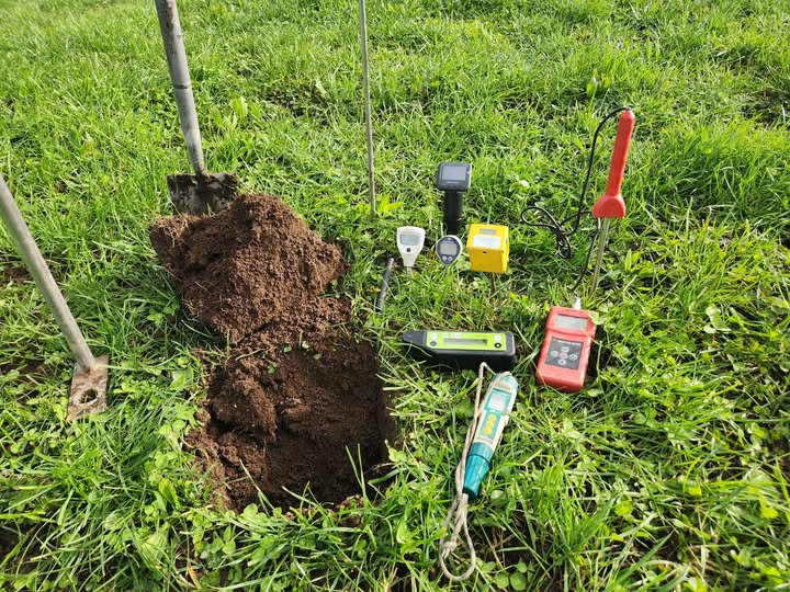 Lawn assessment compaction check year two failure Sudbury Ontario diagnosis