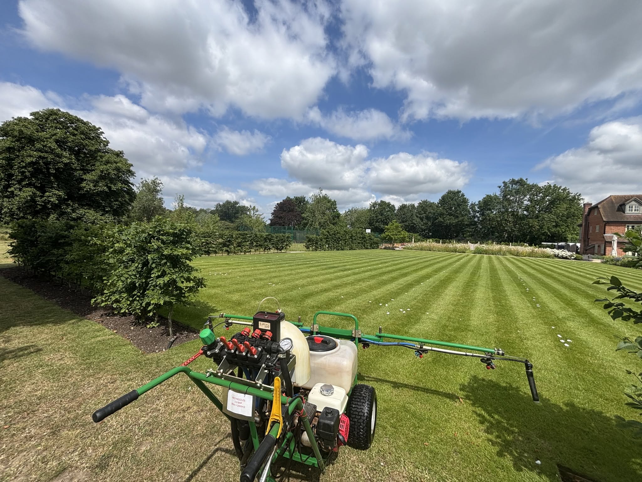 Lawn assessment notes professional Greater Sudbury Ontario property documentation